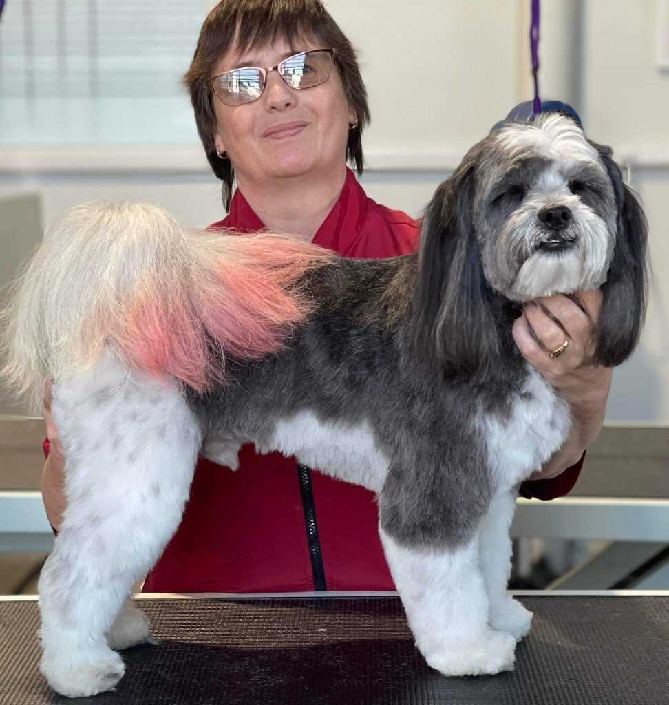 nifty dog grooming