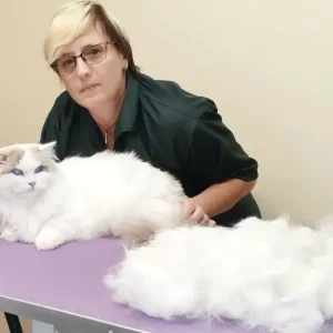 test cat dry food