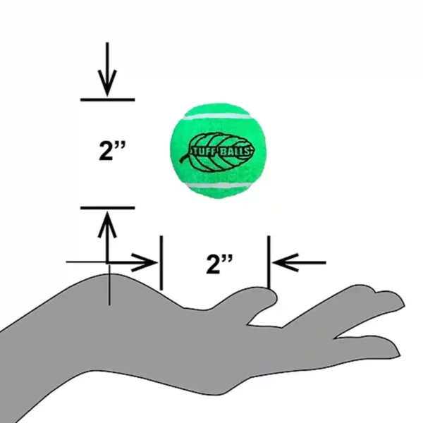 2-inch green tennis ball above hand illustration