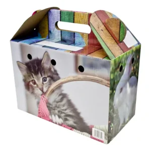 Colorful pet carrier box with kitten and rabbit.