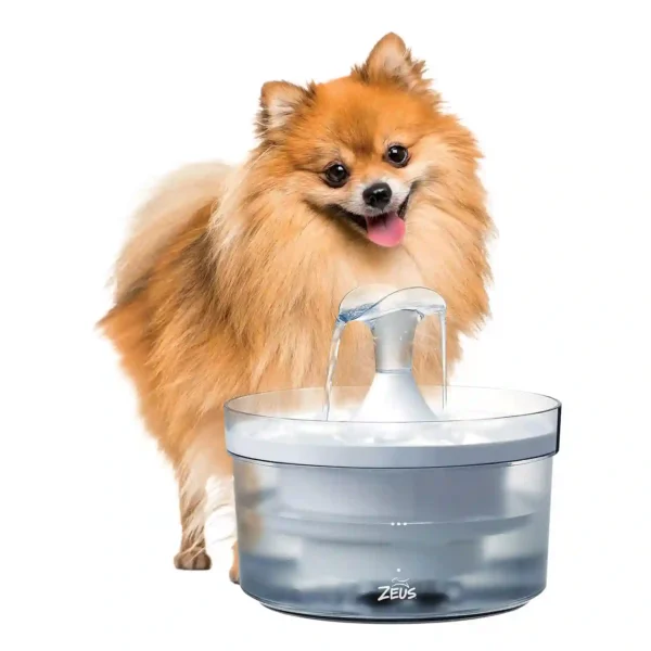 Pomeranian dog beside pet water fountain.