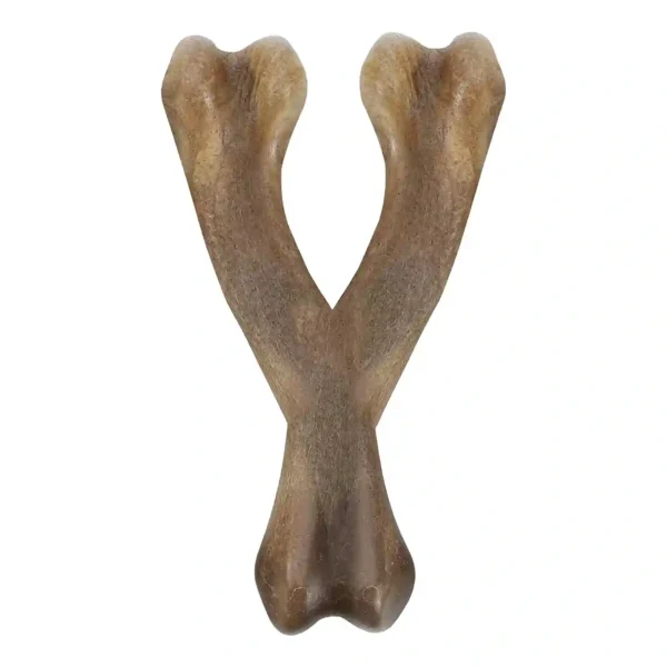 Wooden letter Y on white background