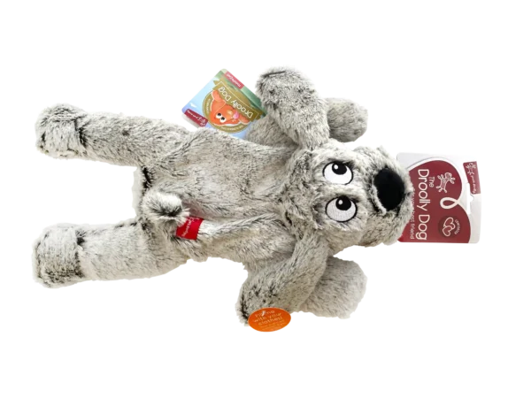 aq335 yoors droolly dog fill me medlight grey top down