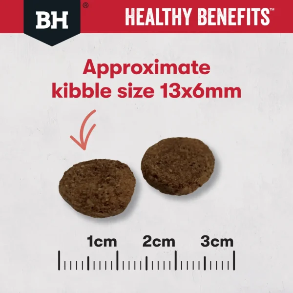 bh447 bh448 bhhealthybenefits dog tiles joints muscles