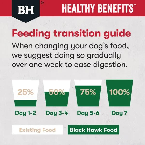 bh447 bh448 bhhealthybenefits dog tiles joints muscles transition
