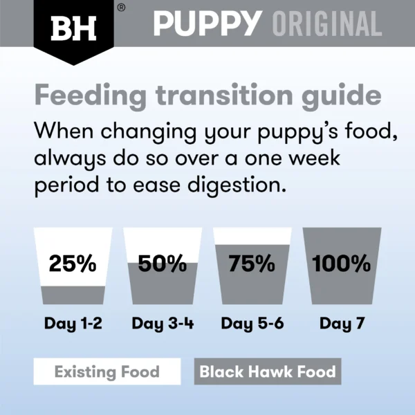 bh498 bh puppy lg br orig chickrice transition