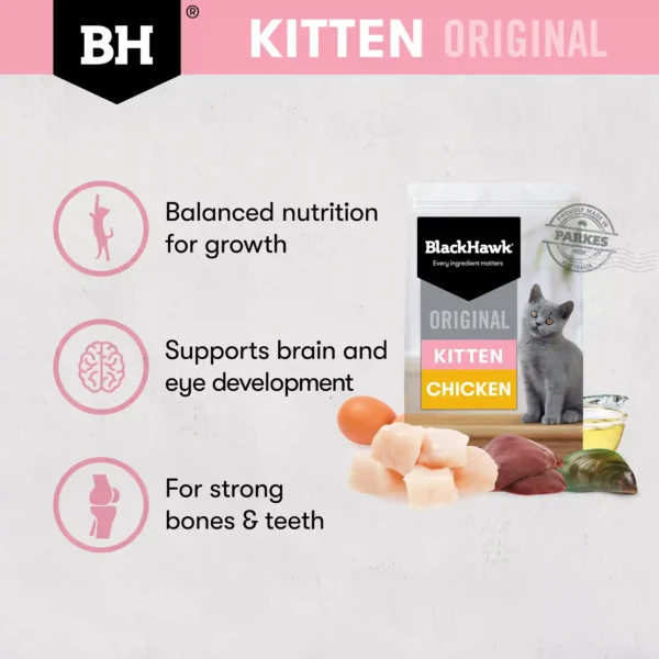 bh521 bh522 bh523 bh original kitten chicken variant