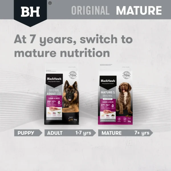 bh581 bh582 bhmature dog lambrice agetransition