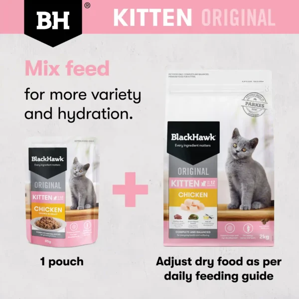 bhc506 bh original kitten chickengravy mixfeeding