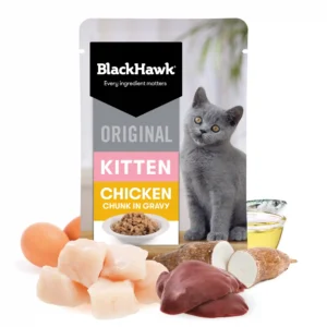 bhc506 bh original kitten chickengravy packhero