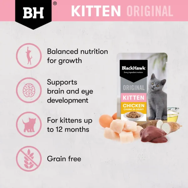 bhc506 bh original kitten chickengravy variant