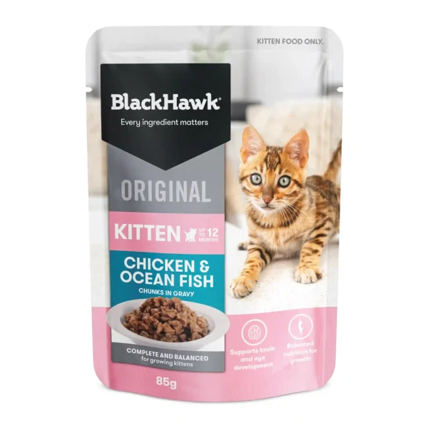 bhc507 bh original kitten chickenoceanfish googlehero