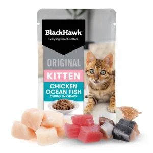 bhc507 bh original kitten chickenoceanfish packhero