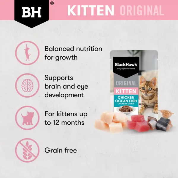 bhc507 bh original kitten chickenoceanfish variant