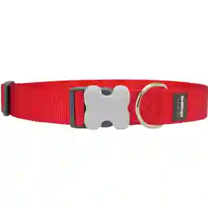 Red dog collar with silver buckle and ring