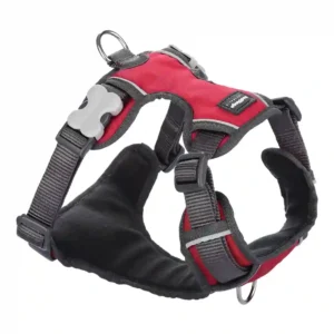 Red padded dog harness with adjustable straps.