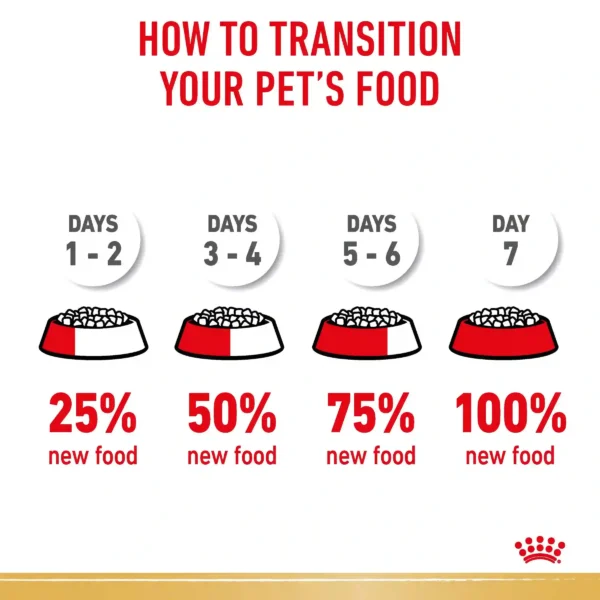 Guide to transitioning pet's food gradually.