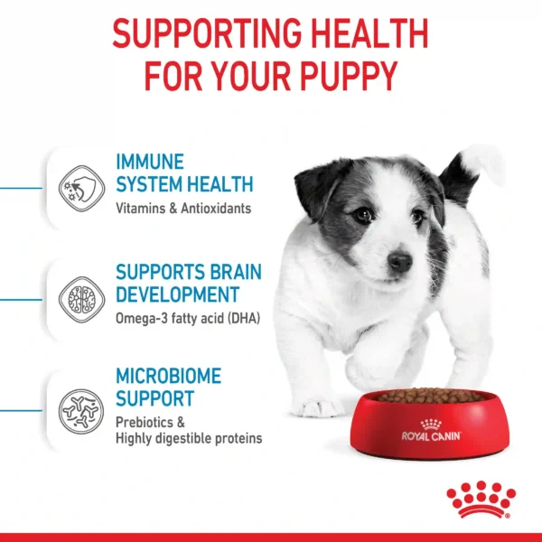 Puppy health benefits: immunity, brain, and microbiome support.