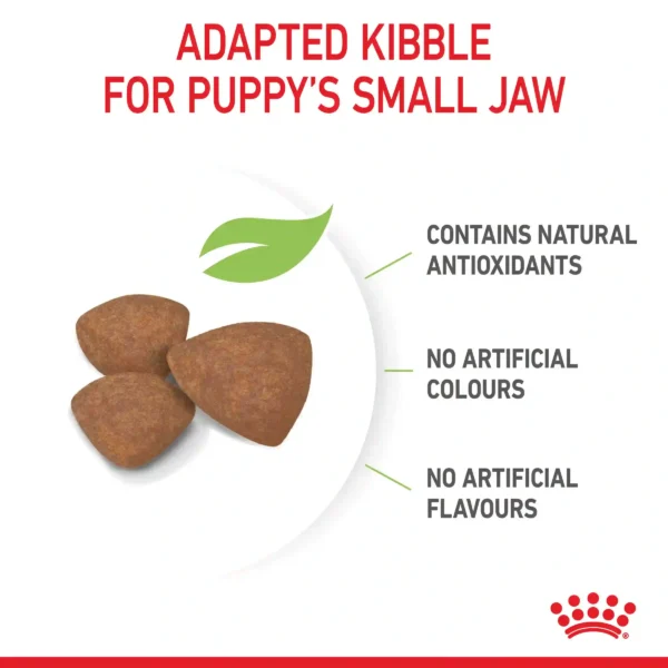 Puppy kibble, natural antioxidants, no artificial additives.
