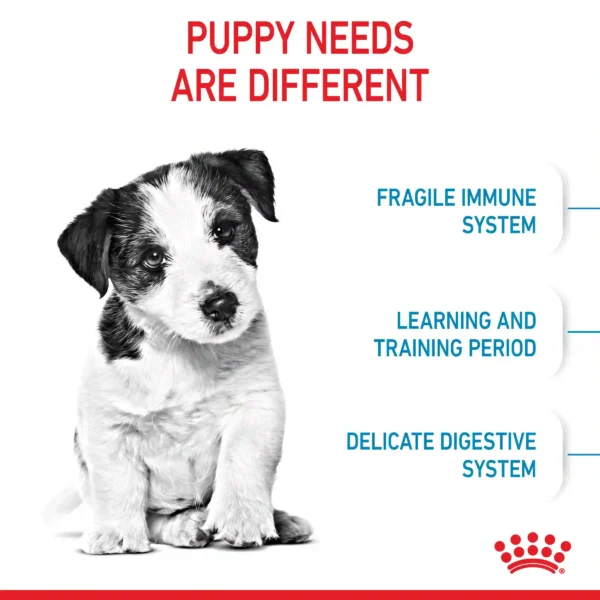 Puppy health needs: immune, training, digestive care.