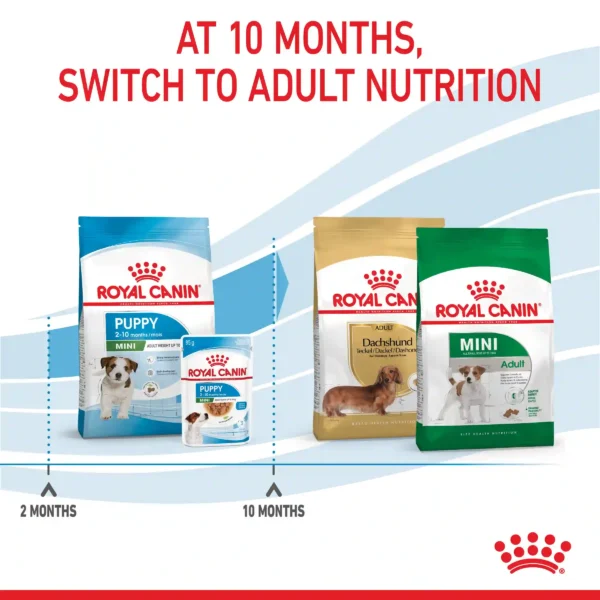 Royal Canin dog food transition advice