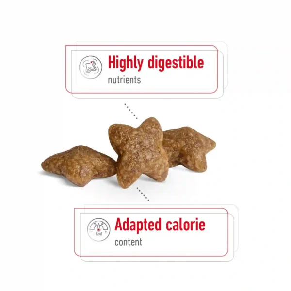 Star-shaped dog treats with digestible nutrients and calories.