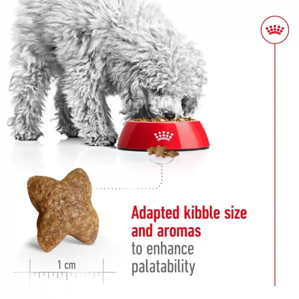 Dog eating from red bowl with adapted kibble size.