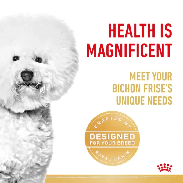 Bichon Frise health tailored by Royal Canin.
