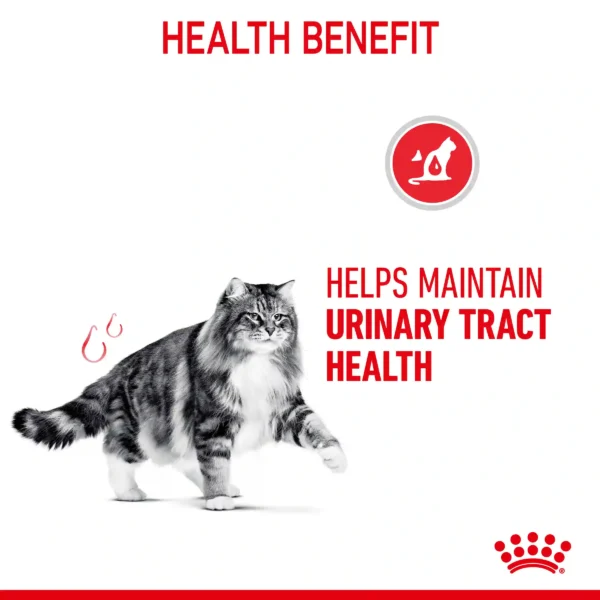 Cat urinary tract health benefits advertisement
