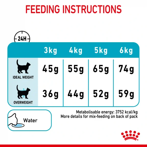 Cat feeding guide: ideal and overweight portions.