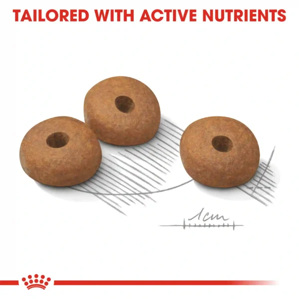 Dog food with active nutrients illustration