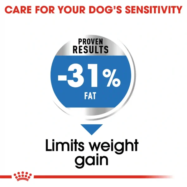 Dog food reduces fat by 31% for sensitivity