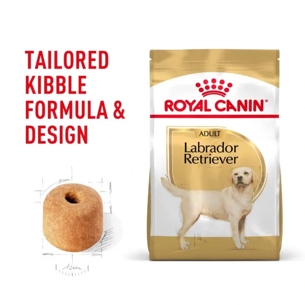 Royal Canin Labrador Retriever dog food