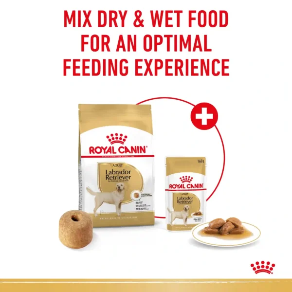 Royal Canin Labrador Retriever dry and wet dog food.