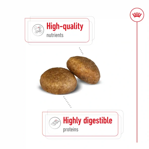 High-quality, digestible kibble with nutrients and proteins.