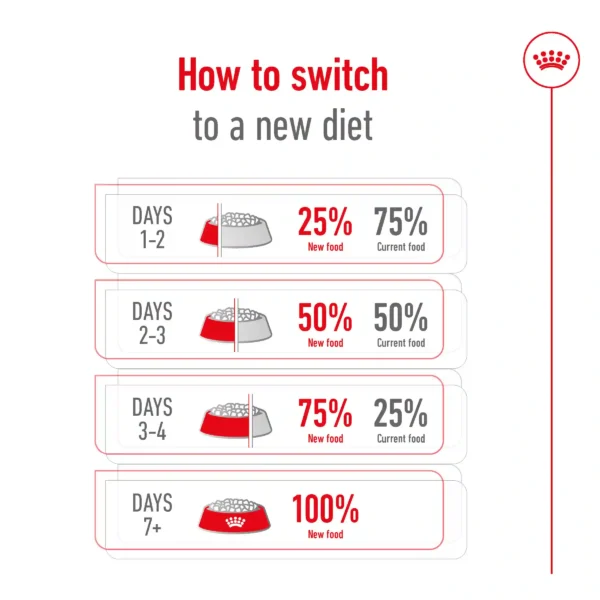 Guide to transition pet food diet change
