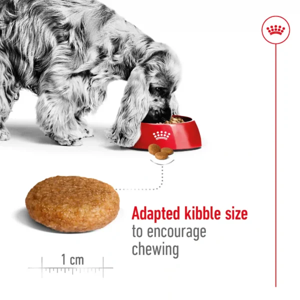Dog eating kibble from red bowl, kibble size shown.