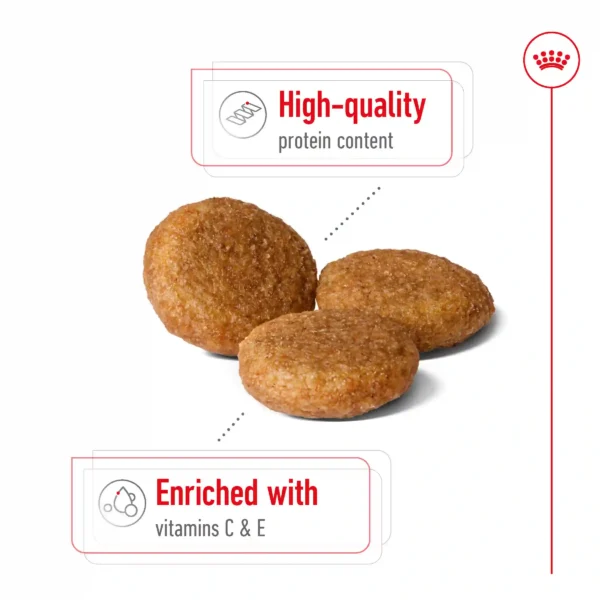High-quality protein dog food with vitamins C & E.