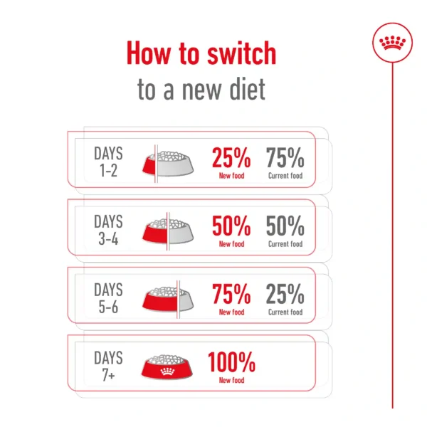 Guide: Transition to new pet diet over days.