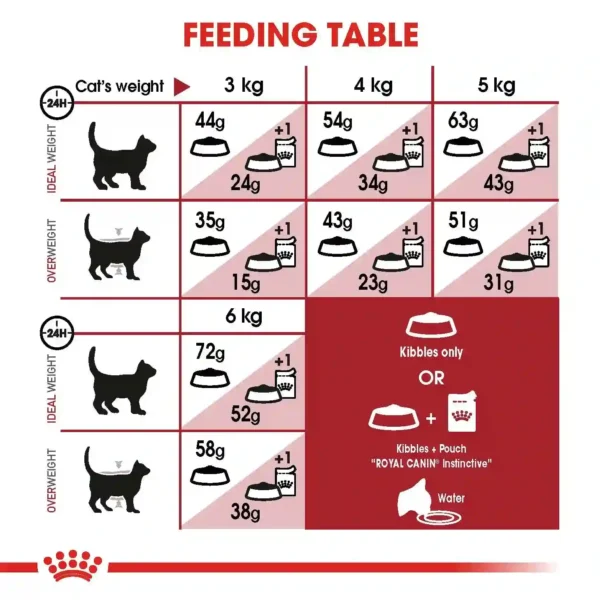 Cat feeding chart by weight and diet options.