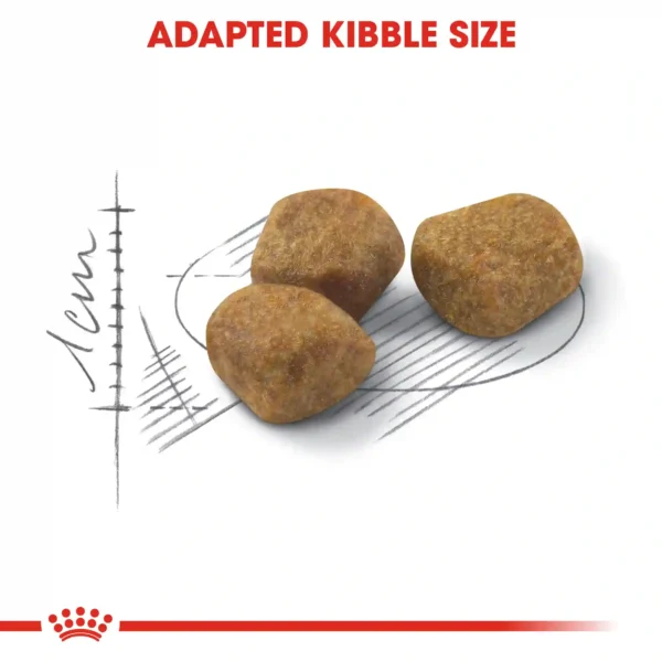 Three kibble pieces next to a 1cm scale drawing.