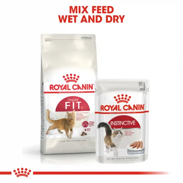 Royal Canin cat food, wet and dry mix