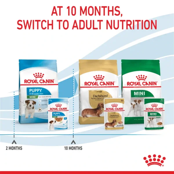 Royal Canin dog food transition at 10 months