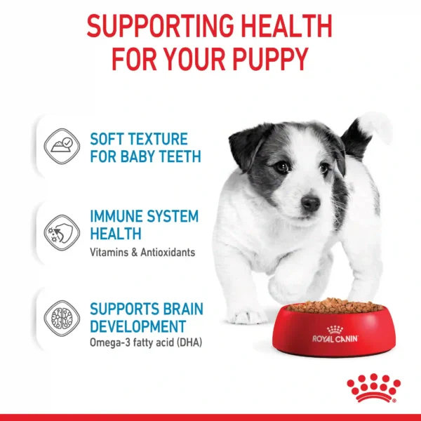 Healthy puppy food benefits: teeth, immune and brain support.