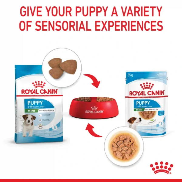 Royal Canin puppy food packaging and kibbles