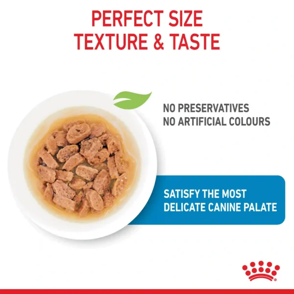 Dog food with perfect texture, taste, no preservatives.