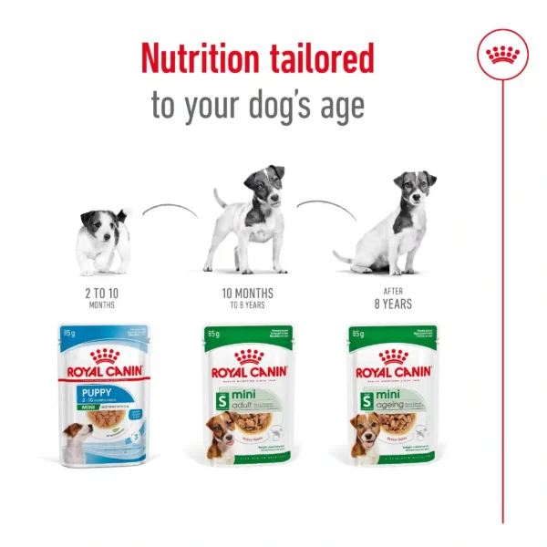 Dog food tailored for different life stages