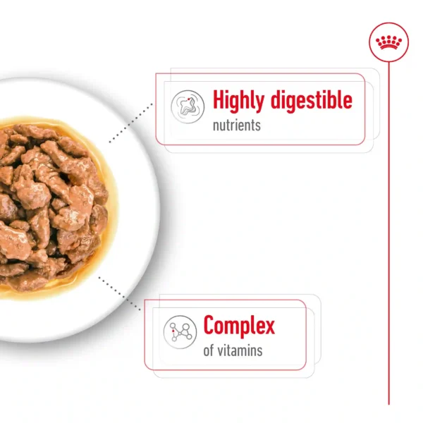 Dog food with nutrients and vitamin complex displayed.