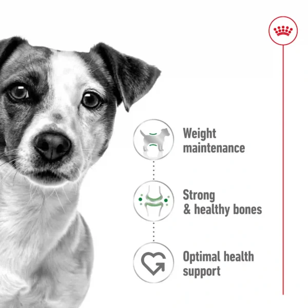 Dog food benefits: weight, bones, health support.
