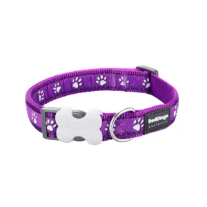 Purple paw print dog collar with bone buckle.